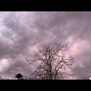 Meet your Posher, Shawn